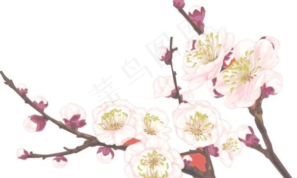 梅花图案cdr矢量模版下载
