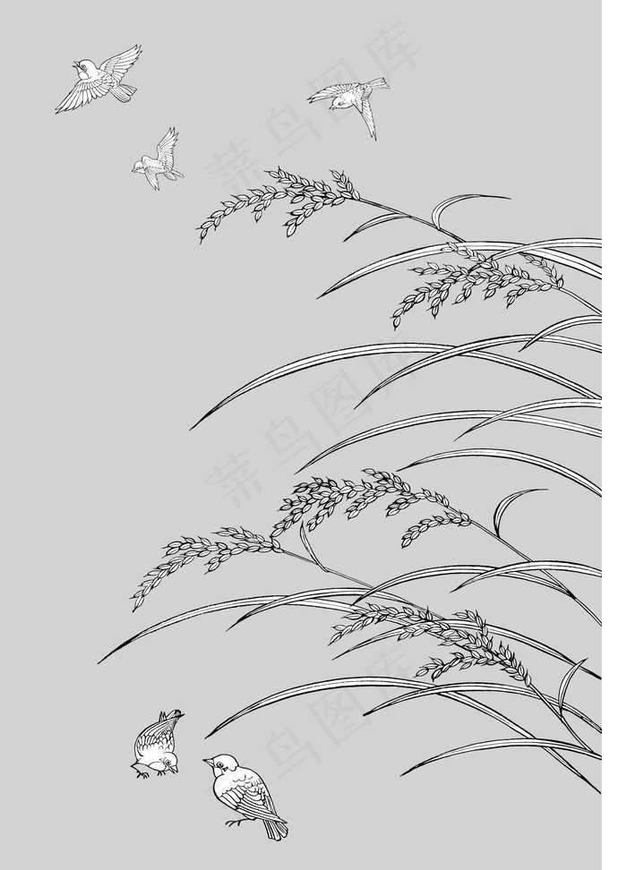 日本的植物花卉矢量素材33水稻制图...eps,ai矢量模版下载