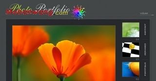 灰色相册FLASH网页模板