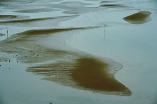 迷人的沙滩图片