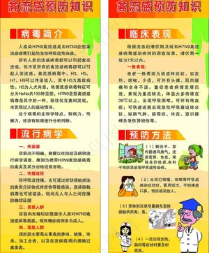 禽流感展架图片