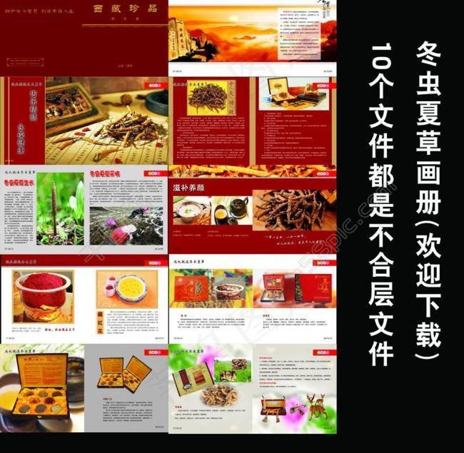 冬虫夏草画册图片(5031X2728(DPI:300))psd模版下载