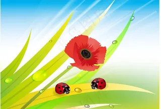 蓝色动感绿叶红花瓢虫 水珠水滴图片