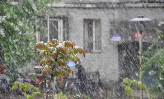 摄影雪景 风雨中图片 摄影雪景 风雨中图片
