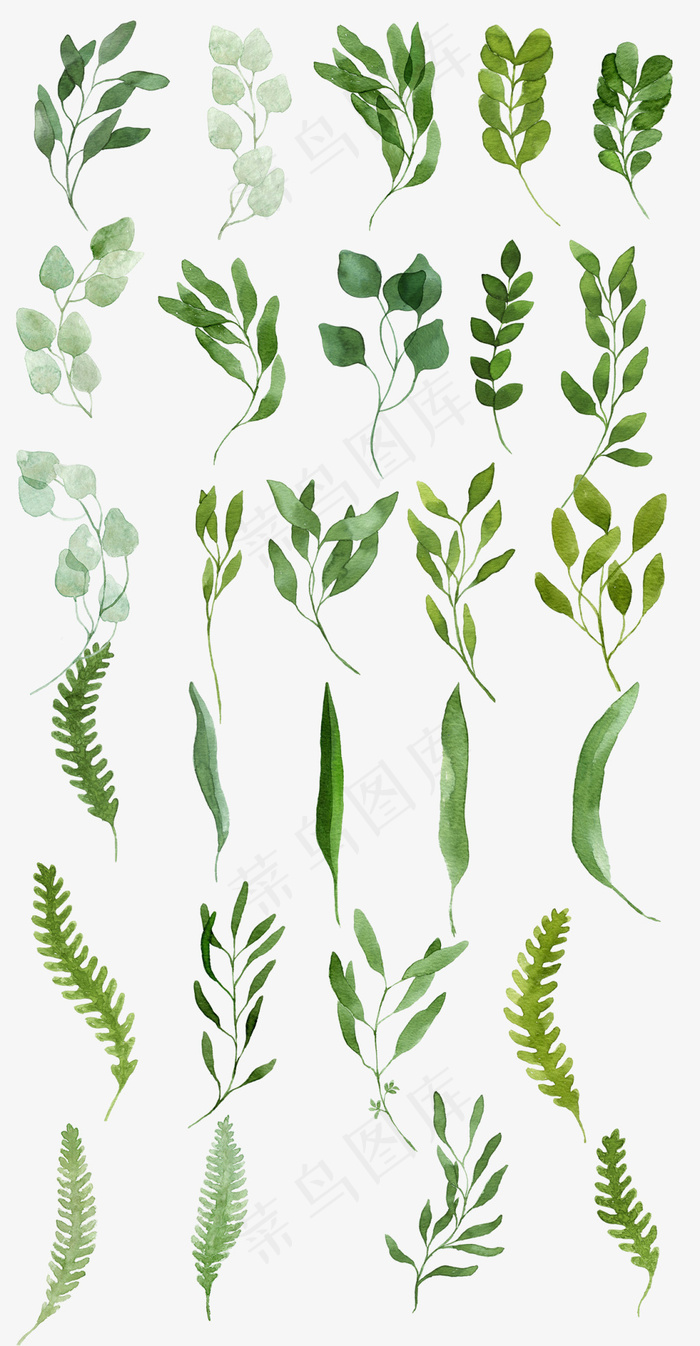 水彩树枝树叶PNG免抠素材