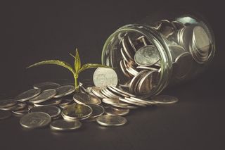 金币嫩芽小树苗孵化培育理财商务金融财富主题素材