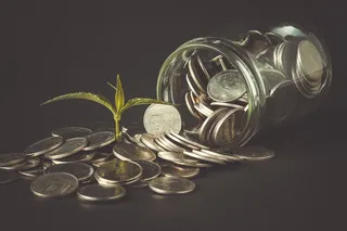 金币嫩芽小树苗孵化培育理财商务金融财富主题素材