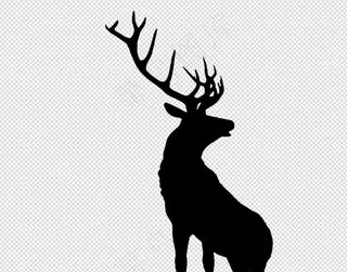 实物卡通手绘插画麋鹿梅花鹿鹿角PN...