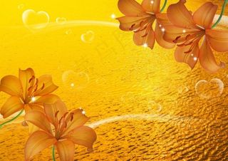 漂亮的金色百合花电视背景墙