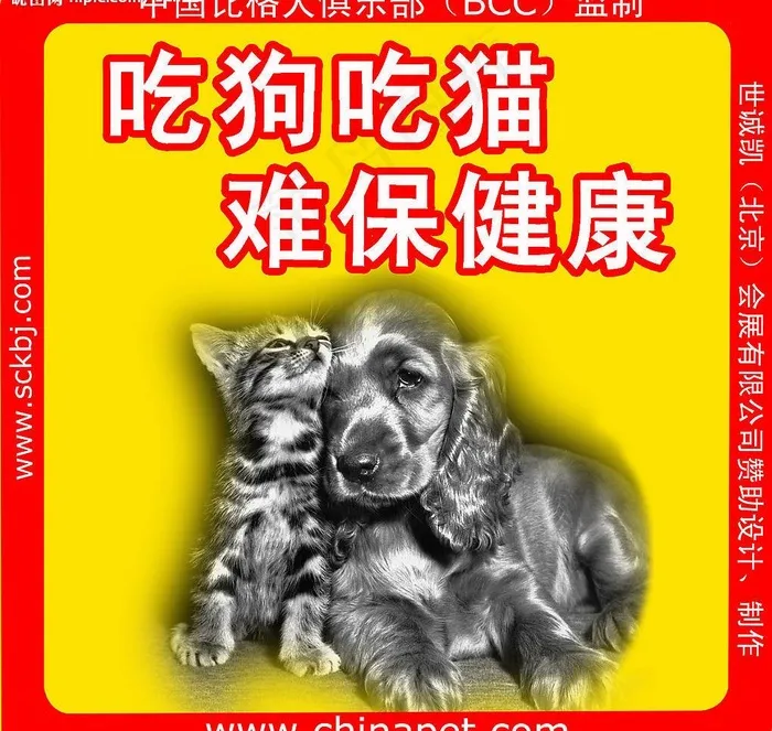 吃狗吃猫 健康难保psd模版下载