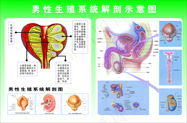 爱康cdr矢量模版下载