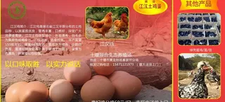 鸡蛋包装标贴图片