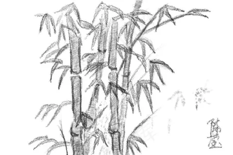 竹子步步高升节节高