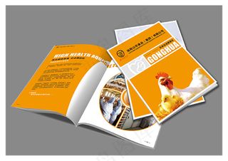 公华禽业画册效果图