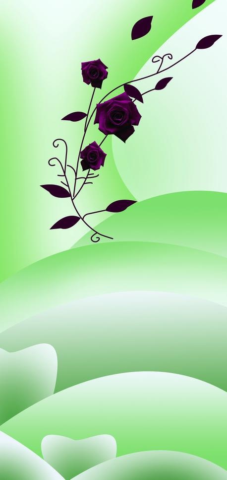 红玫瑰图片(2144X4252(DPI:72))psd模版下载