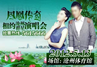 凤凰传奇演唱会图片