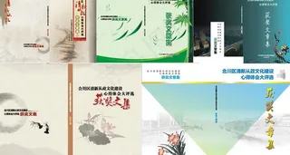 清新从政封面图片