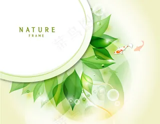 淡水鱼背景矢量素材