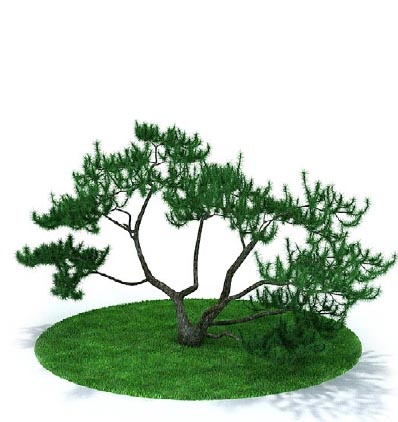 植物国外精品装饰素材免费下载室内装...
