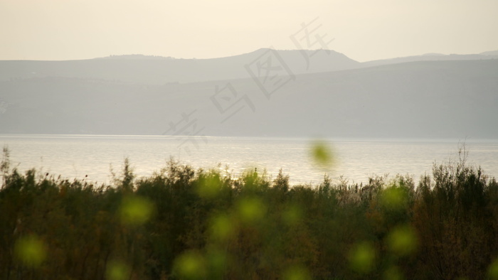 变焦黄色的花和多山的海岸线2股之间...