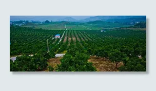 新农村建设示范片图片