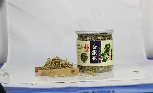 金银花图片