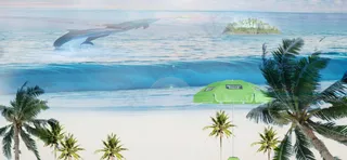 海南风光背景图