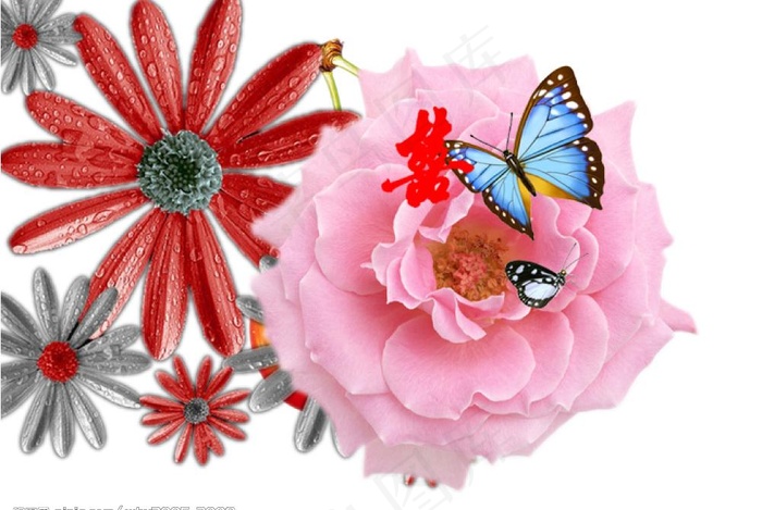 蝴蝶 玫瑰 牡丹 杜鹃 喜字 分...