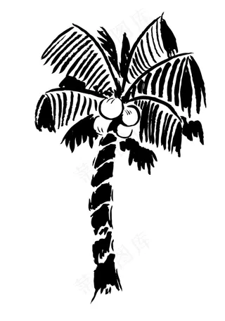 手绘椰树简笔插画