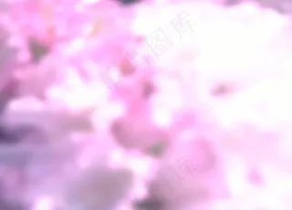 婚礼视频素材图片