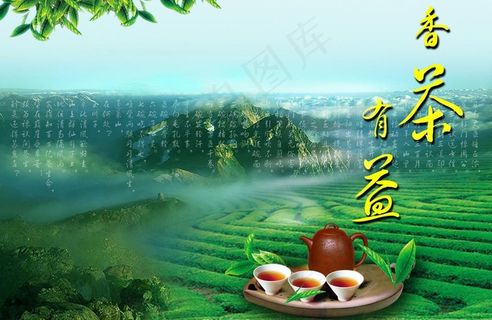 香茶有益 茶叶图片