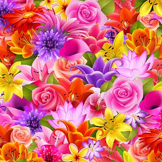 矢量鲜花背景图片