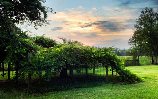 高清电脑桌面背景壁纸