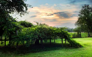 高清电脑桌面背景壁纸