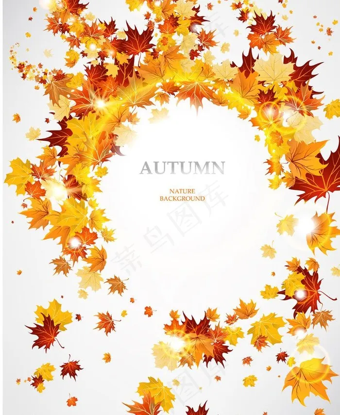 枫叶图片eps,ai矢量模版下载