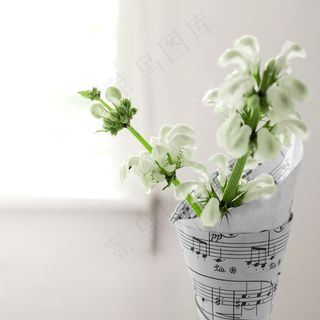 简约小清新文艺风插花静物摆拍背景
