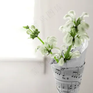 简约小清新文艺风插花静物摆拍背景