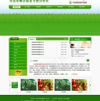 顺合蔬菜专业合作社图片