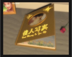 婚纱写真片头高清视频素材