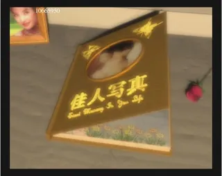 婚纱写真片头高清视频素材