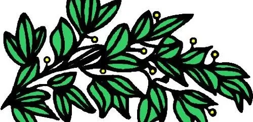花草树木植物eps,ai矢量模版下载