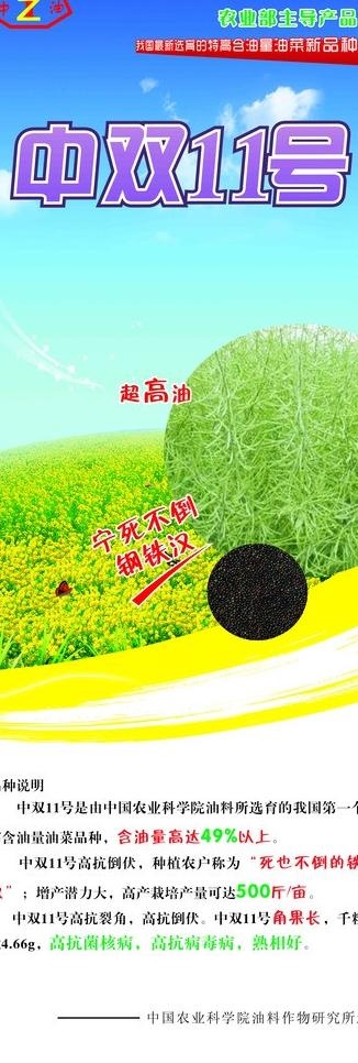 中双11号图片cdr矢量模版下载