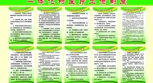 村一体化医疗工作制度图片