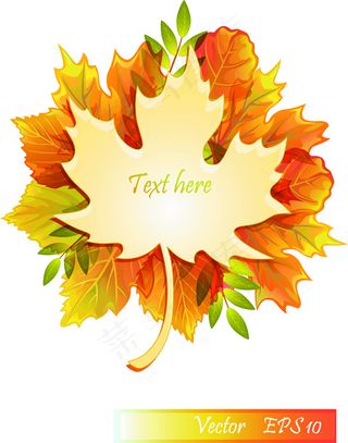 创意枫叶销售设计矢量素材-3