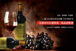 法国葡萄酒海报