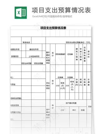 项目支出预算情况表格