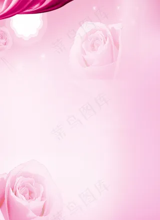 玫瑰 玫瑰背景 粉色背景