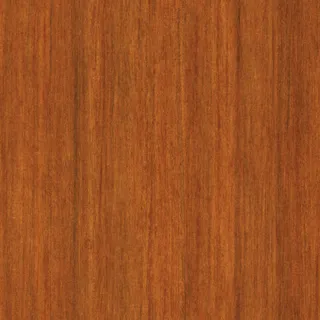 AE秋意自然风格电子相册