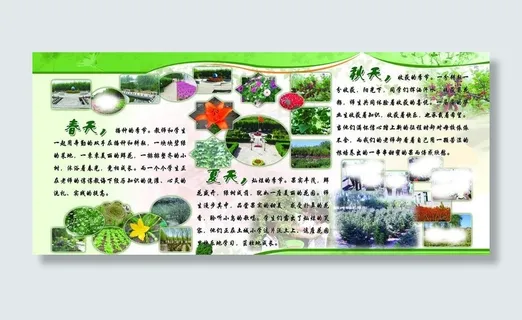 校园文化展板图片