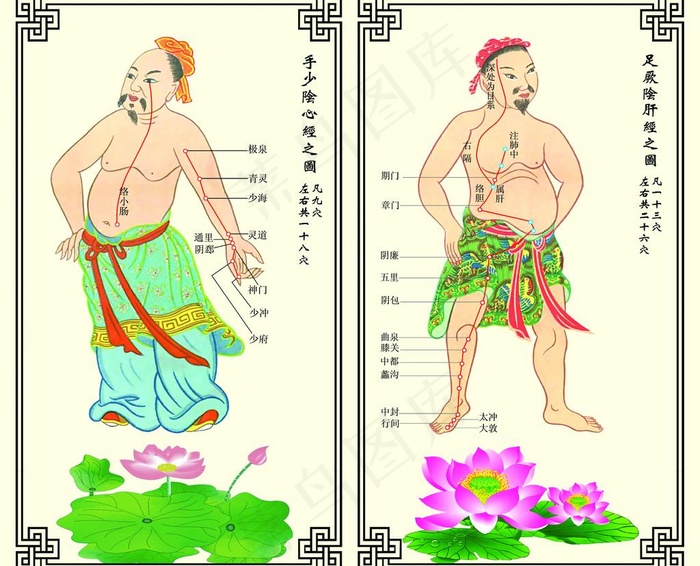 中医药文化图片psd模版下载